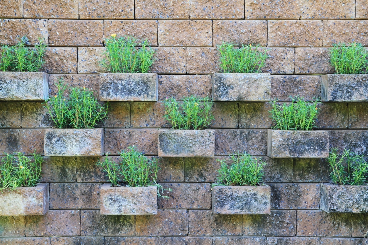 Decoração com bloco de concreto: Jardins