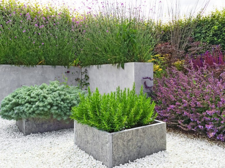 Pisos de concreto para jardim: Canteiro de flores
