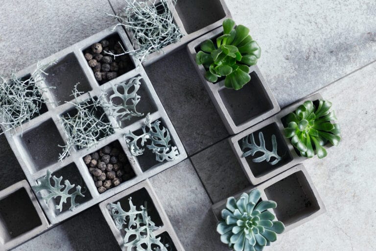 Pisos de concreto para jardim: Plantas