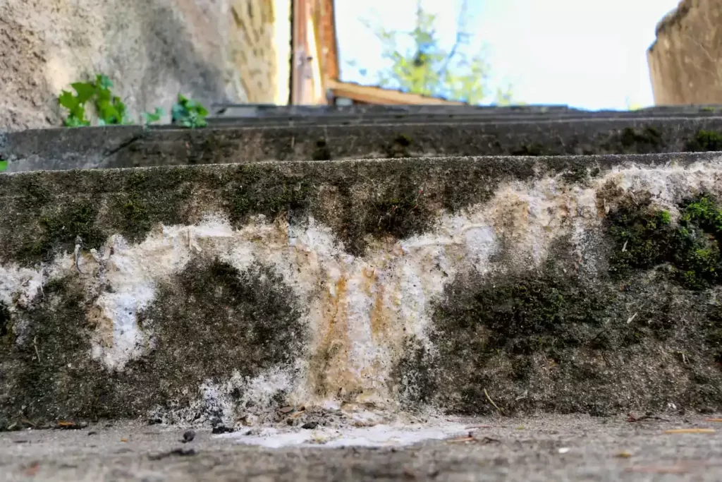 Eflorescência no concreto: o que é, causas, como prevenir, diagnosticar e remover